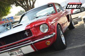 Mustang_Fest_4.JPG